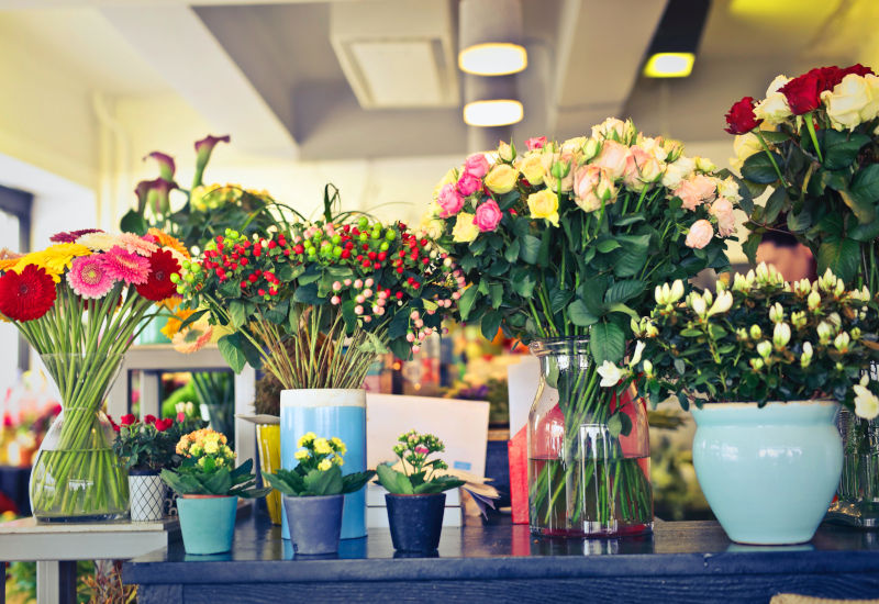 Floristería Amely El Salvador