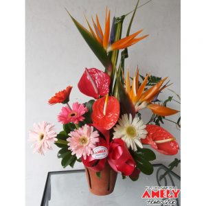 Primaveral 4